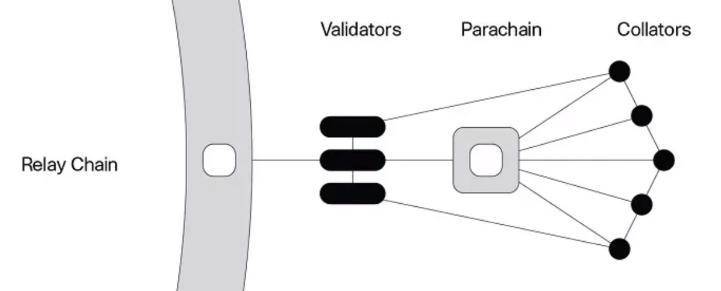 多维度比较polkadot 与cardano 谁是真正的以太坊杀手